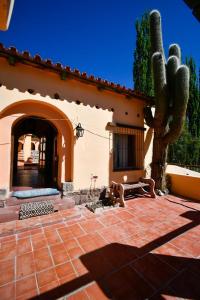 a courtyard of a house with a cactus at Hosteria la granja in Huacalera
