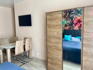 TV a/nebo společenská místnost v ubytování Lokal apartment