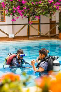 two men are in a swimming pool at Divanga Hostel in Taganga