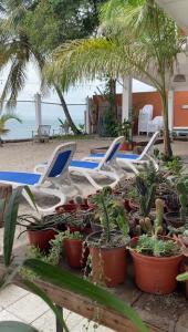 Gallery image of Casa Greca in Playa Blanca