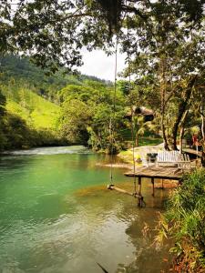 a swing hanging over a river in a forest at Hostal Oasis The Traveler in Lanquín