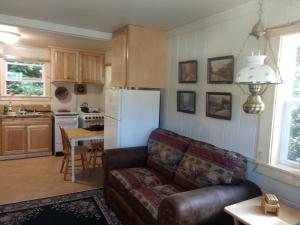 ein Wohnzimmer mit einem Sofa und einer Küche in der Unterkunft Mountainside Chalet - Tiny Home in Packwood