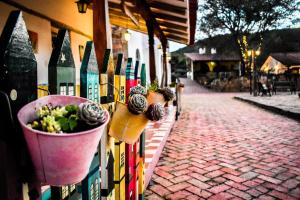 a fence with potted plants on it next to a street at El Pueblito Hotel Boutique in Samaipata