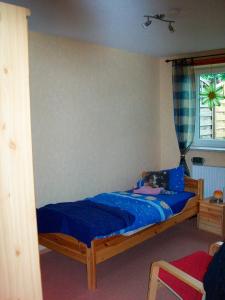Schlafzimmer mit einem Bett mit blauer Bettwäsche und einem Fenster in der Unterkunft FeWo Mareike in Hanerau-Hademarschen