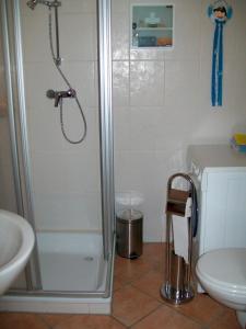 La salle de bains est pourvue d'une douche, de toilettes et d'un lavabo. dans l'établissement FeWo Mareike, à Hanerau-Hademarschen