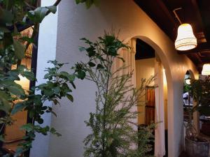 Fotografie z fotogalerie ubytování Inn Oon Villa v destinaci Chiang Mai