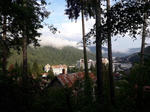 a view of a city through the trees at Tudor View Apartament in Sinaia