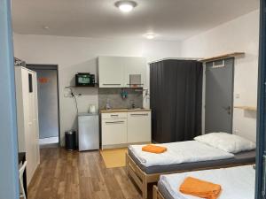 Račice的住宿－KuK Račice - mini apartman，一间小房间,配有两张床和厨房