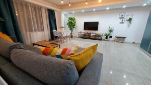 a living room with a couch and a flat screen tv at Zander Home Apartment in Buşteni