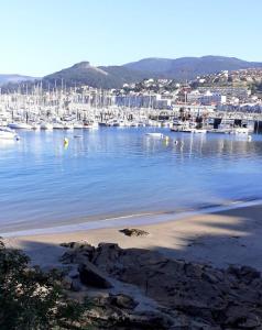 a bunch of boats parked in a marina at ESTUDIO EN BAIONA- PLAYA SANTA MARTA in Baiona