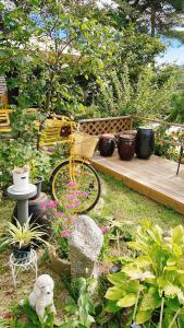 Gallery image of Mayfair Rodemtree Pension in Pyeongchang  +33 photos