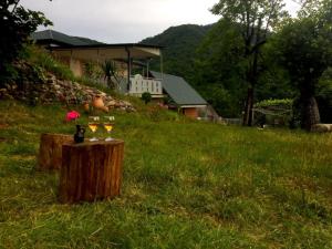 a couple of glasses of wine on a tree stump at GreenHill - Your Guesthouse in Ubisa in Ubisi