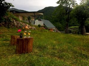 Zahrada ubytování GreenHill - Your Guesthouse in Ubisa