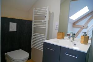 een badkamer met een toilet en een wastafel bij chambre d hôte La Grange in Pommiers-en-Forez