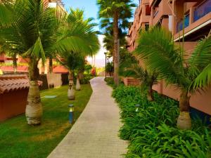 Una pasarela con palmeras junto a un edificio en Alojamiento Apartamento Motril Playa Granada campo golf, en Motril