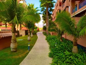a walkway with palm trees next to a building at Alojamiento Apartamento Motril Playa Granada campo golf in Motril