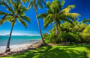 two palm trees on a beach with the ocean at Beauty tiny Walk To Sea in Port Douglas