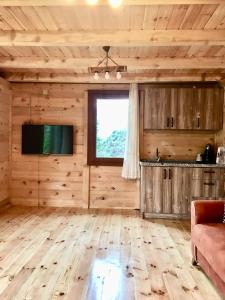een woonkamer met houten wanden en een flatscreen-tv bij Vadi dağ evi bungalov in Çamlıhemşin