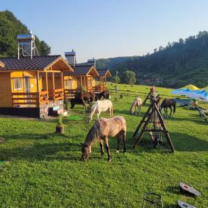 a group of horses grazing in a field next to a cabin at Dara's Camping in Prod