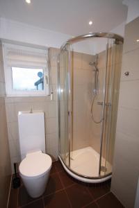 a bathroom with a shower and a toilet at Ferienhaus am Ostseestrand in Großenbrode