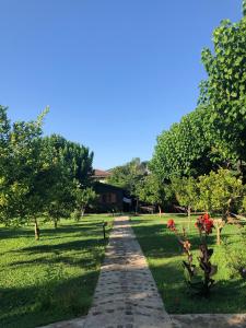 a path through a park with trees and a building at Ozge Bungalow Hotel in Cıralı