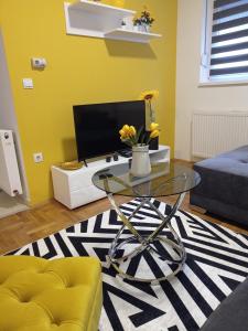TV a/nebo společenská místnost v ubytování APARTMAN SUNFLOWER