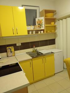 Kuchyň nebo kuchyňský kout v ubytování APARTMAN SUNFLOWER