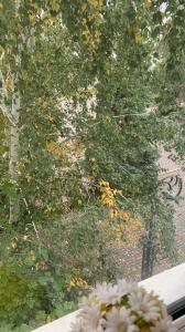 a view of a tree from a window with flowers at Hotel Uyut in Kremenchuk