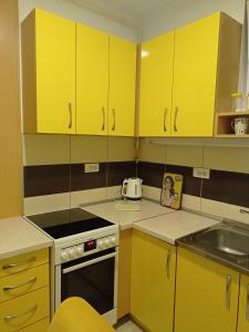 Kuchyň nebo kuchyňský kout v ubytování APARTMAN SUNFLOWER