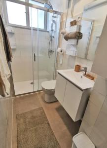 La salle de bains est pourvue d'une douche, de toilettes et d'un lavabo. dans l'établissement Appartamento Campi Elisi, à Trieste