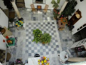 Zahrada ubytování La Casa Grande