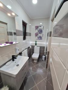 a white bathroom with a sink and a toilet at Splendid House in Făgăraş