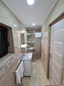 a bathroom with a sink and a shower at Splendid House in Făgăraş