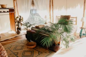 a living room with a couch and potted plants at Dreamsea Surf Resort Nicaragua in San Juan del Sur