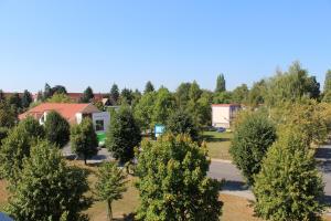 un groupe d'arbres devant une maison dans l'établissement Gästewohnung in Niesky, à Niesky