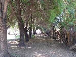 Fotografie z fotogalerie ubytování Cabañas Rústicas v destinaci Estación Colina