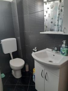 a bathroom with a white toilet and a sink at Hostel Raft Neretva in Konjic