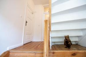 a cat sitting on the stairs in a room at Apartment No4 in Stralsund