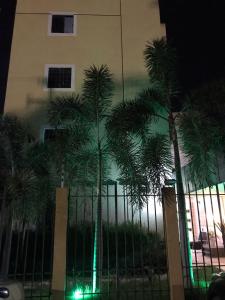 um grupo de palmeiras em frente a um edifício em flat Luiz Carlos Mouzinho em Teresina