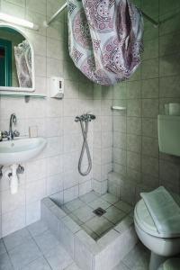 a bathroom with a shower and a toilet and a sink at Vikos Hotel in Monodendri