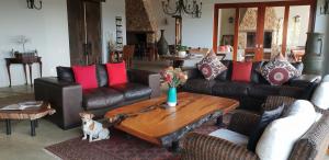 a living room with couches and a dog sitting on a rug at Tamodi Lodge in Plettenberg Bay