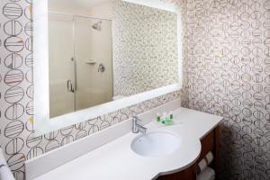 ein Bad mit einem Waschbecken und einem Spiegel in der Unterkunft Holiday Inn Express & Suites Charlottesville, an IHG Hotel in Charlottesville