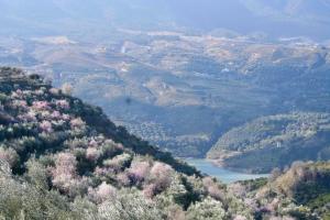 vista su una valle con fiume e alberi di Melegis 1-Bed Cottage Sleeps 2 Pool & Garden a Melegis