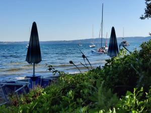 Táj Show holiday homes közelében