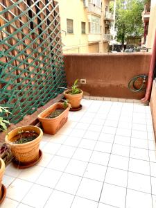 three potted plants are sitting on a balcony at Heloise42 in Palermo