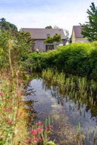 a body of water with plants and a house in the background at Ferienwohnung 2 in Hoyerswerda