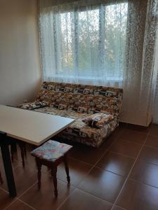 a living room with a couch and a table and a window at Apartment on Lermontova 35a in Mukacheve