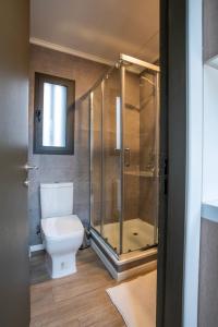 a bathroom with a toilet and a glass shower at Echazarreta Vineyards in Casablanca