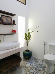 a bathroom with a toilet and a potted plant at Riad Masaya in General Luna