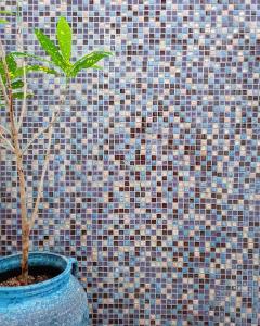 a plant in a blue pot in front of a wall at Riad Masaya in General Luna